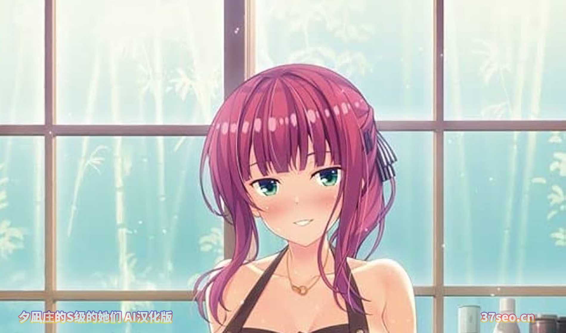 夕凪庄的S级的她们 AI汉化版[百度云下载]