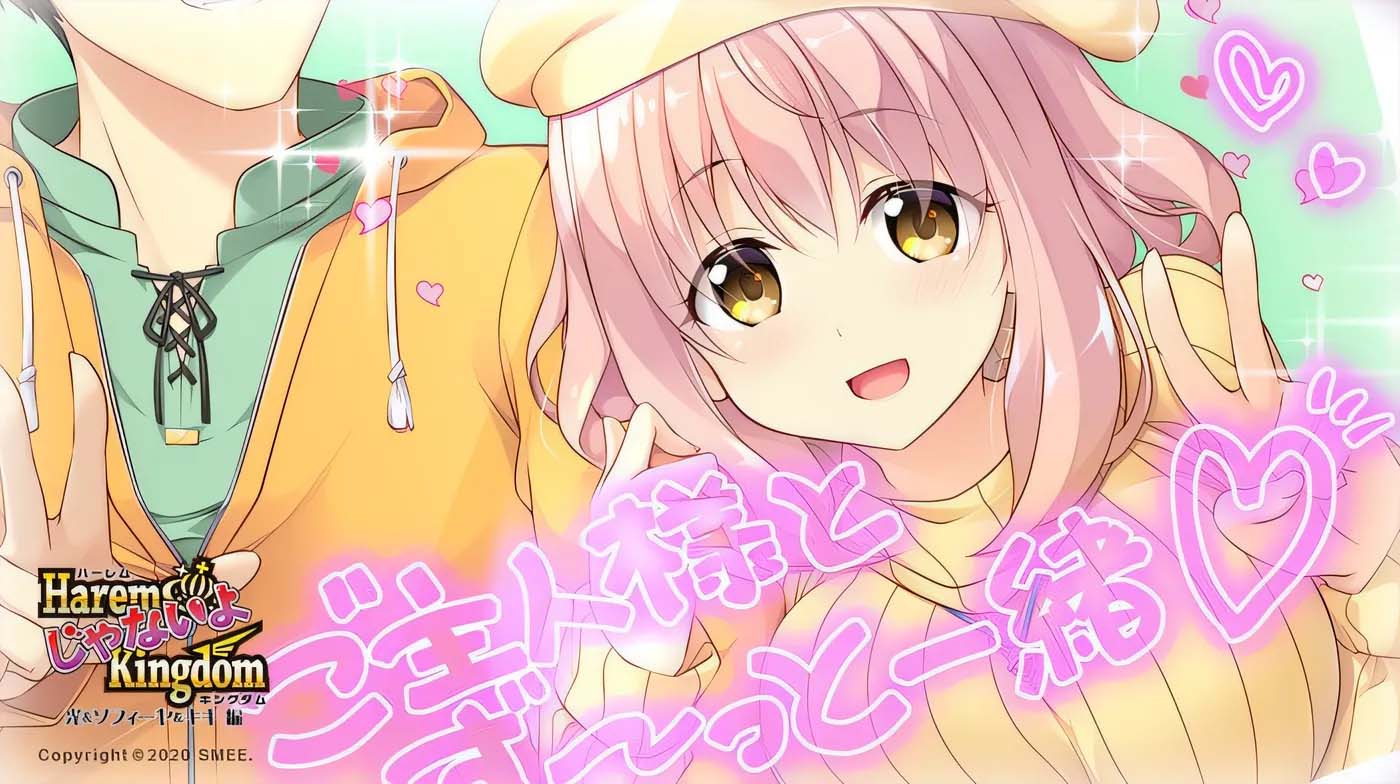 [日文C]这不是后宫，是王国 光＆索菲亚＆Kiki篇 豪华 日文版[网盘]