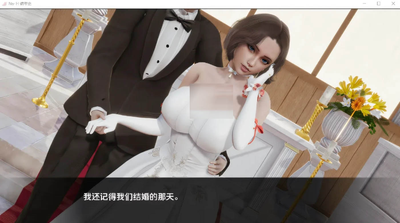 [PC游戏] 编年史NTH NTR Chronicles Ver1.0 汉化版 [更新/417.6M]