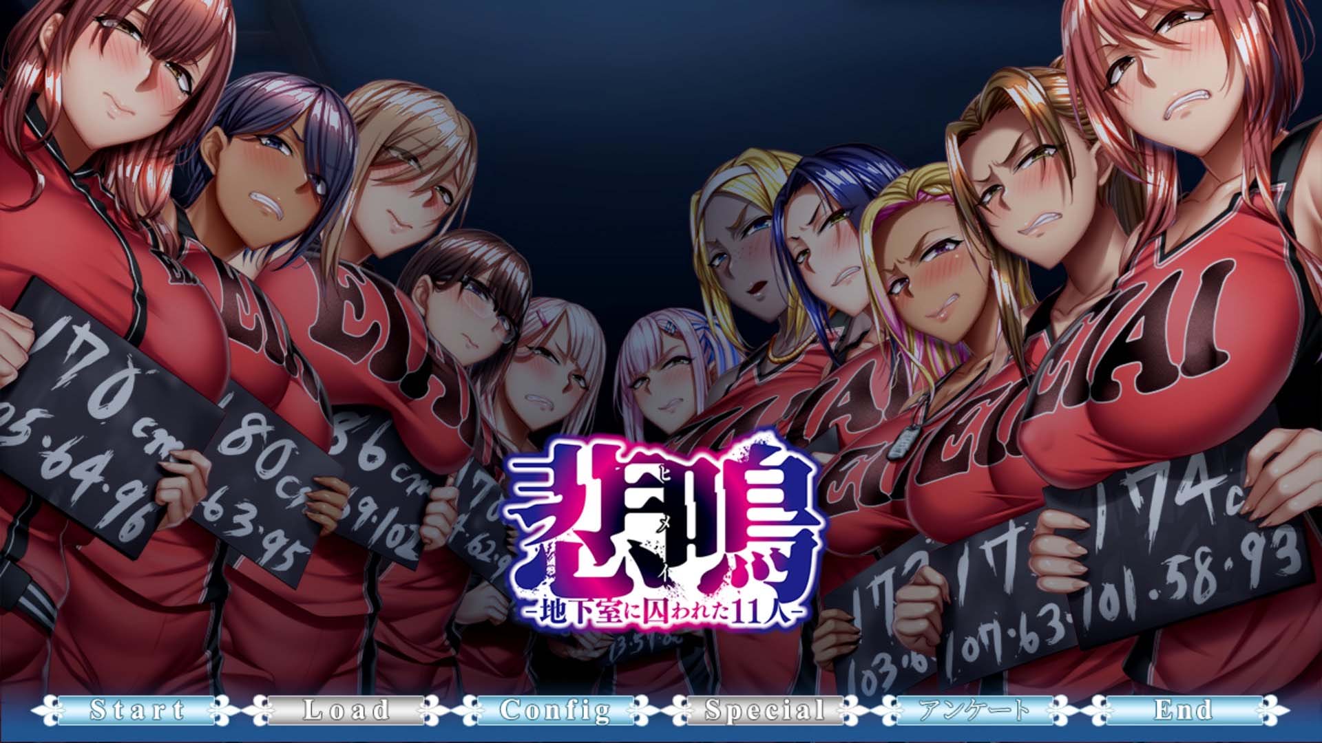 悲鸣 地下室囚禁的11人