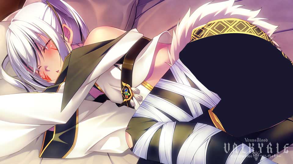 [SLG] 圣女之血 女武神 v1.0.4 VenusBlood Valkyrie 中文[4G]