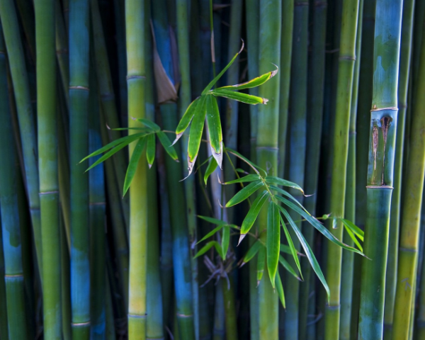 php函数的默认值是什么意思
