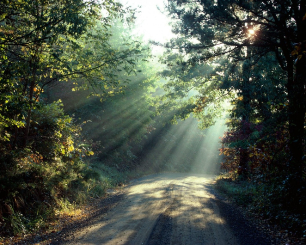 python怎么调用网页数据库，python海龟代码五角星