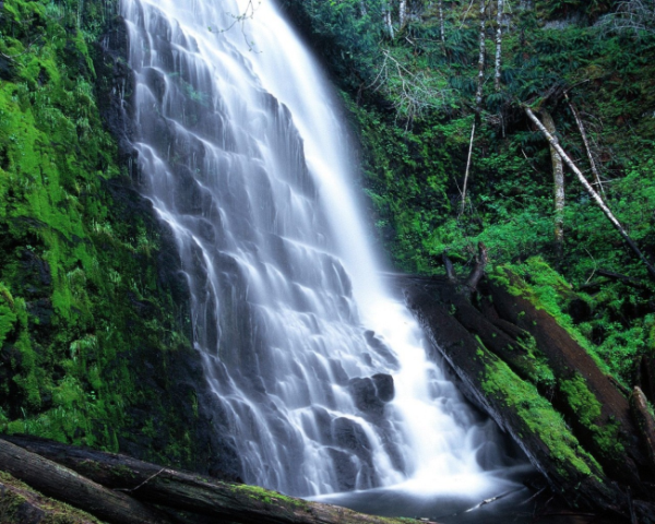 html标签嵌套错误检查
局域网html网页发布方法