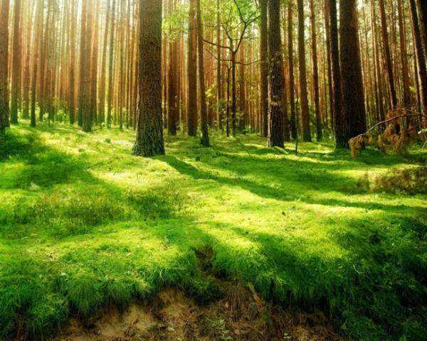 如何写爆款文案标题