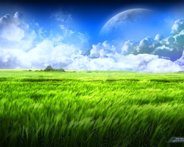 宝宝急疹后舌苔厚白怎么办，舌苔后半截厚白怎么办啊