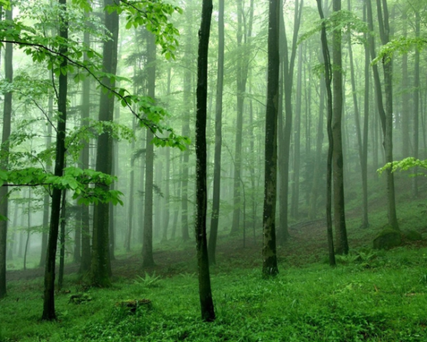 html错误码301
html404错误