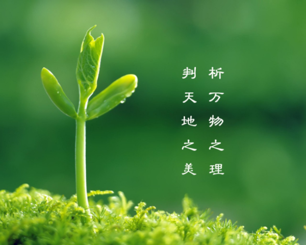 忻州网络营销作业设计，网络营销隐藏逻辑