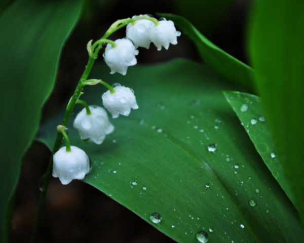 php 函数 默认参数
php date函数的键