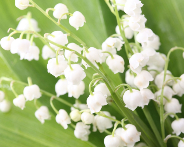 python selenium 错误
