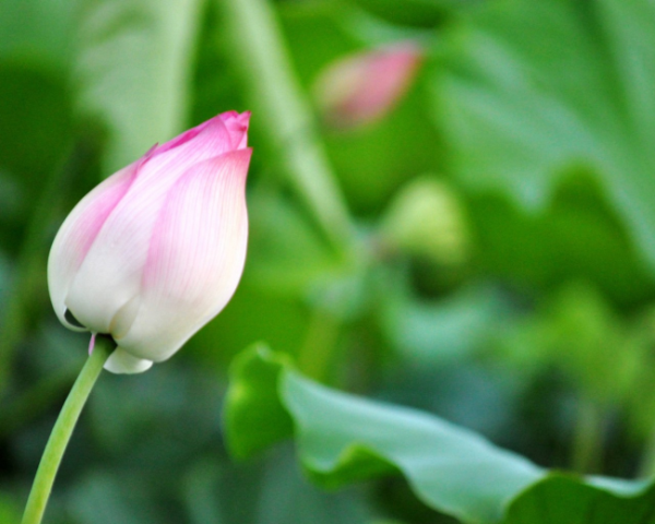 编写html网页共有3种方法
