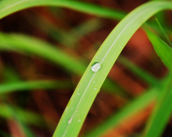 海外推广营销方案目录
