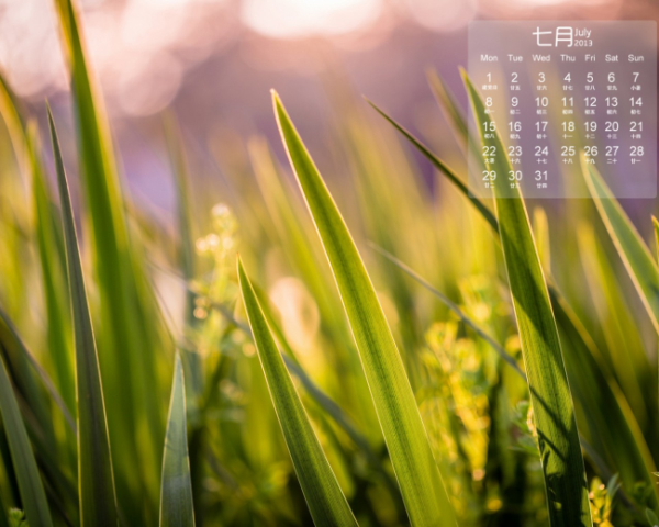 脾胃湿热造成青春痘中药方，脾胃虚的中药药方