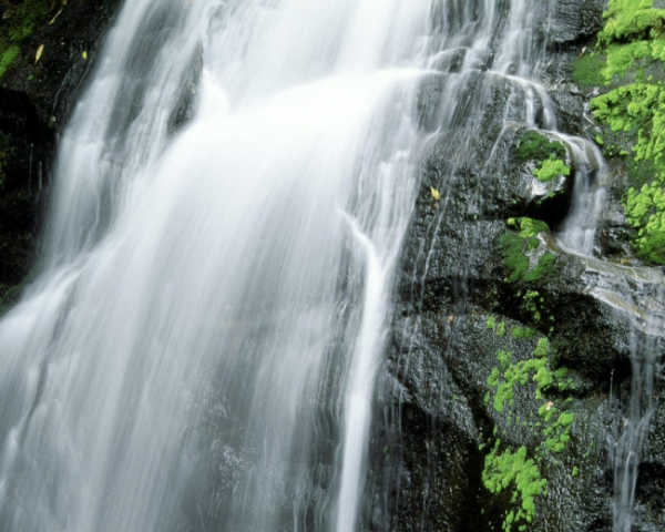 php空白处理函数，php，错误处理函数