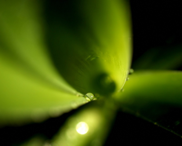 html强制一行显示错误的是
