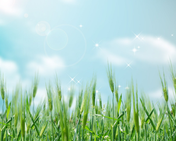 html错误界面源码，网站，错误代码，-118