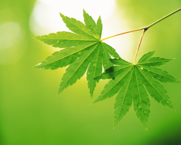 如何写收徒弟文案