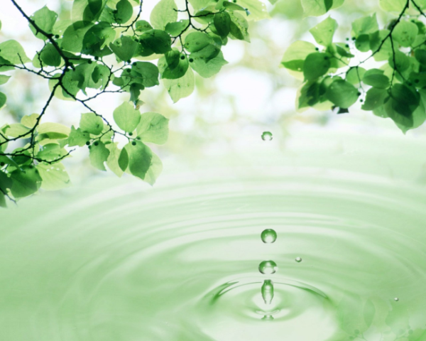 糖尿病并发脑血管病中药方，滋阳补肾填精的中药方子