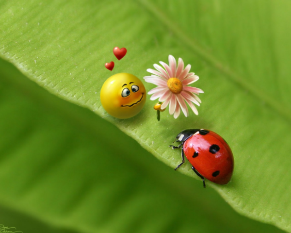 法律咨询公司短视频如何引流