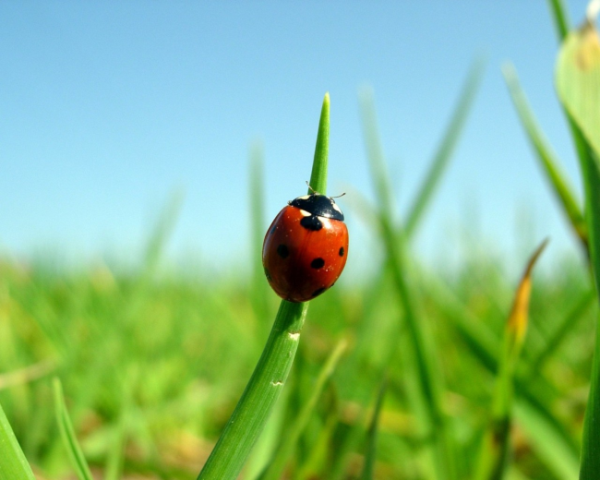 INSERT INTO语句的基本用法