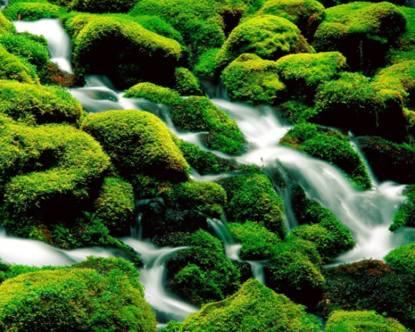 Quartz Cron 表达式