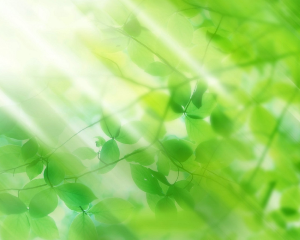 python代理错误怎么解决，python3，打开编码错误