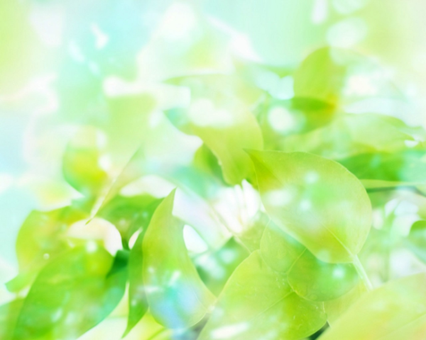 肾虚头发变白怎么办呢