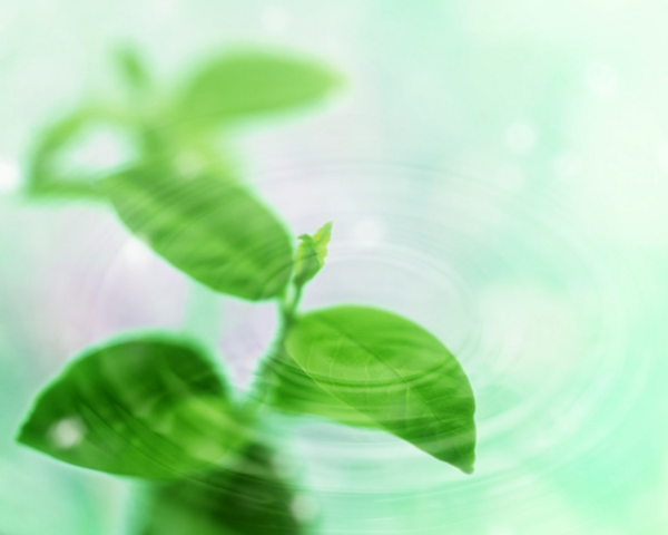 脾胃虚肝火旺中药方处方,肝火旺,脾虚,大便稀怎么办 脾胃虚肝火旺中药方处方,肝火旺,脾虚,大便稀怎么办