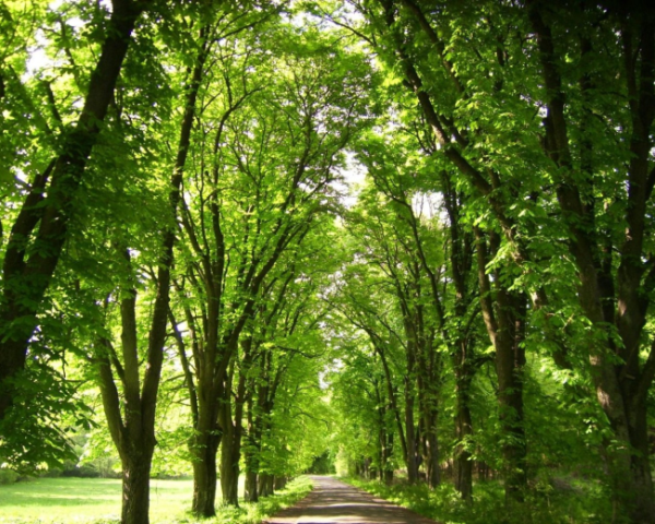 python 提取html的标签属性
html各个标签的属性