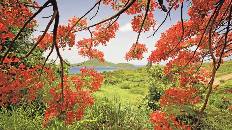 百度AI开放平台- API实战调用
