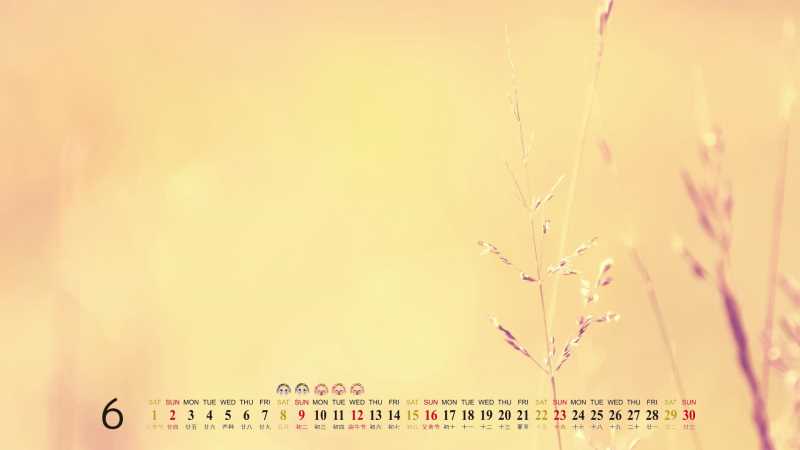 如何设置表单的内容html
html中div标签属性