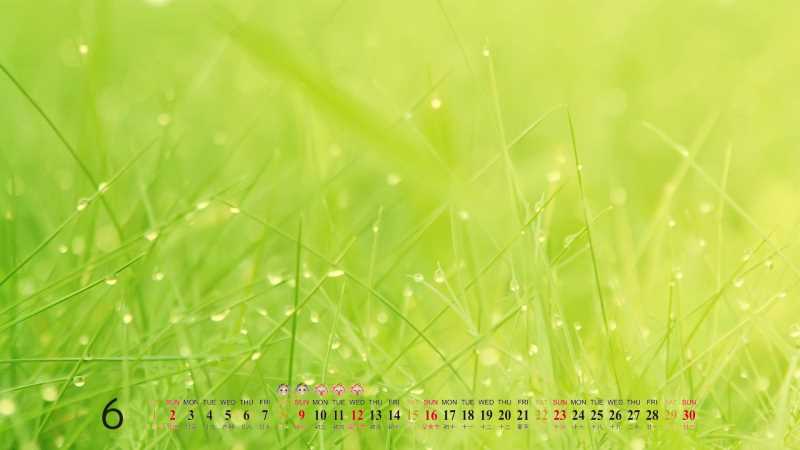 体虚肾虚掉头发怎么办，上火脾虚阴虚怎么办