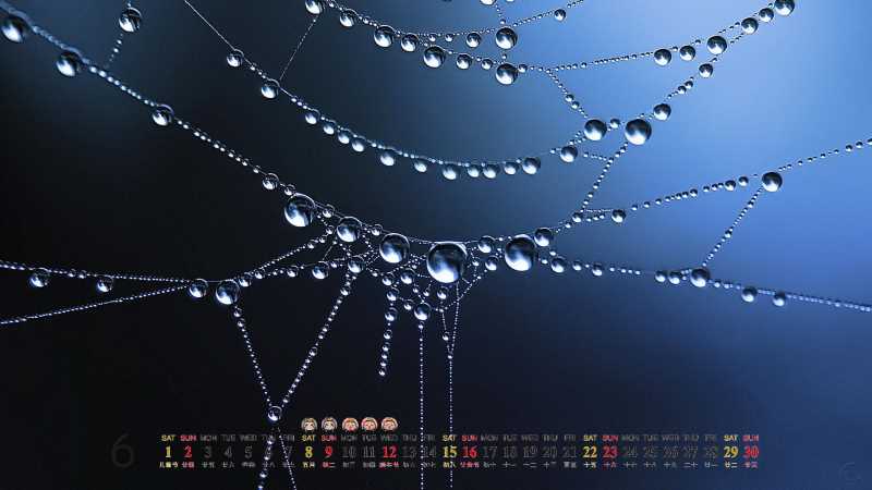 吃什么菜水果降血压最快最好，舌苔厚白湿寒怎么办