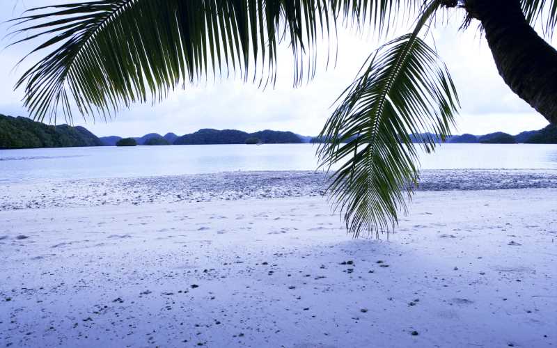 python中eoferror是啥错误，python脚本提示错误