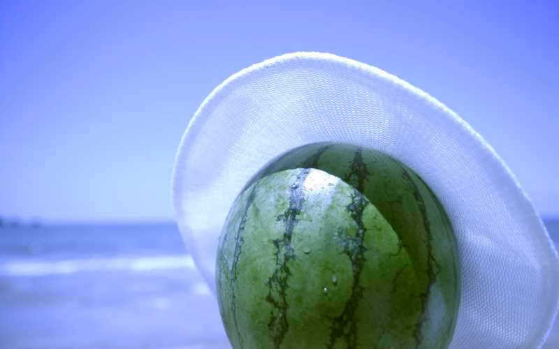 html中表单标签有哪些内容
