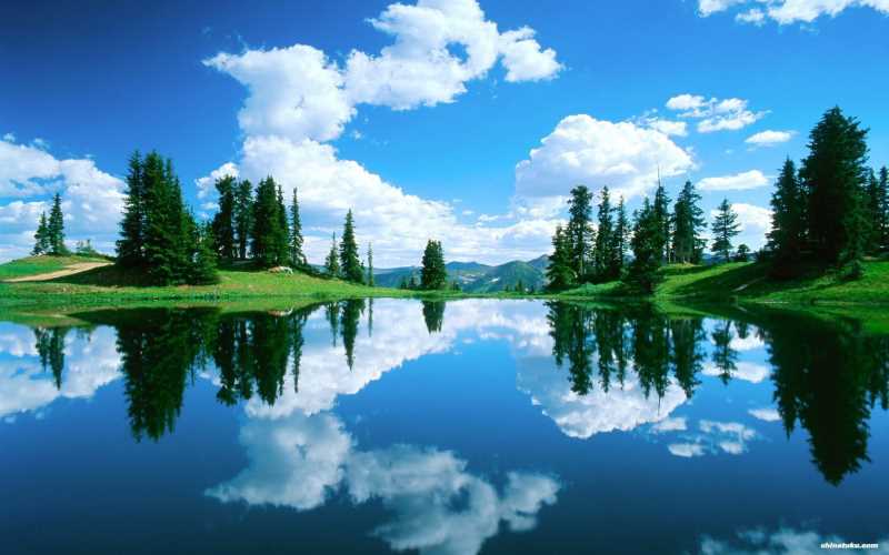 丽水网络营销的案例分析-咸宁企业网络营销收费情况