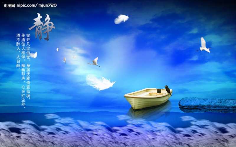 如何写客户公告模板文案