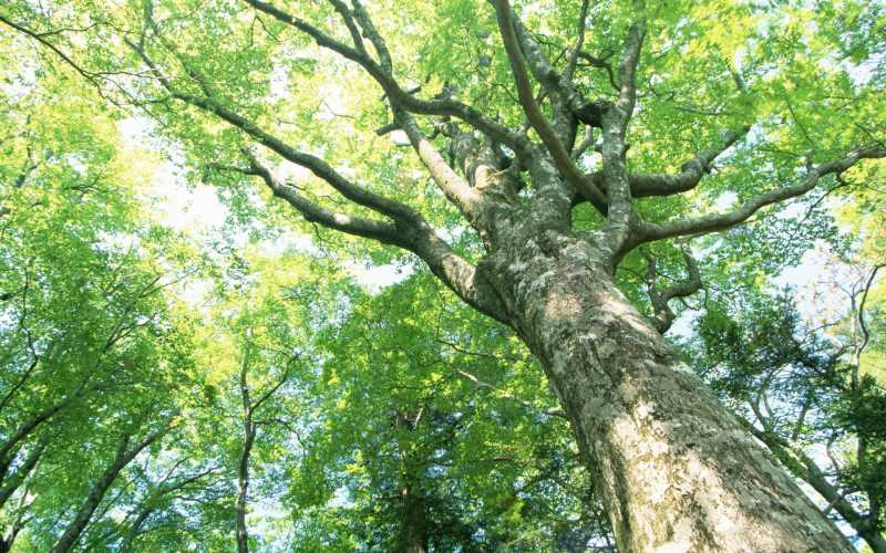 html中的position属性
