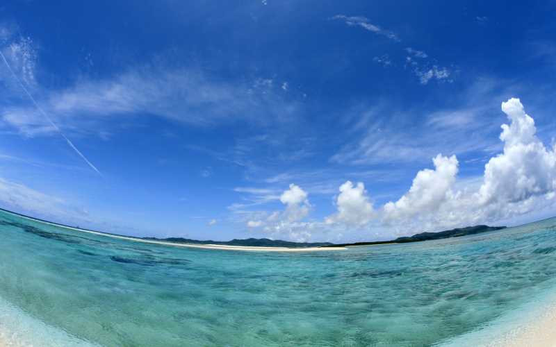 舌苔白厚，该怎么办