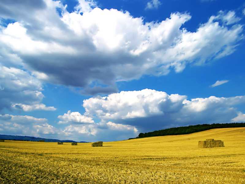 手机html错误提示，编程html软件有哪些