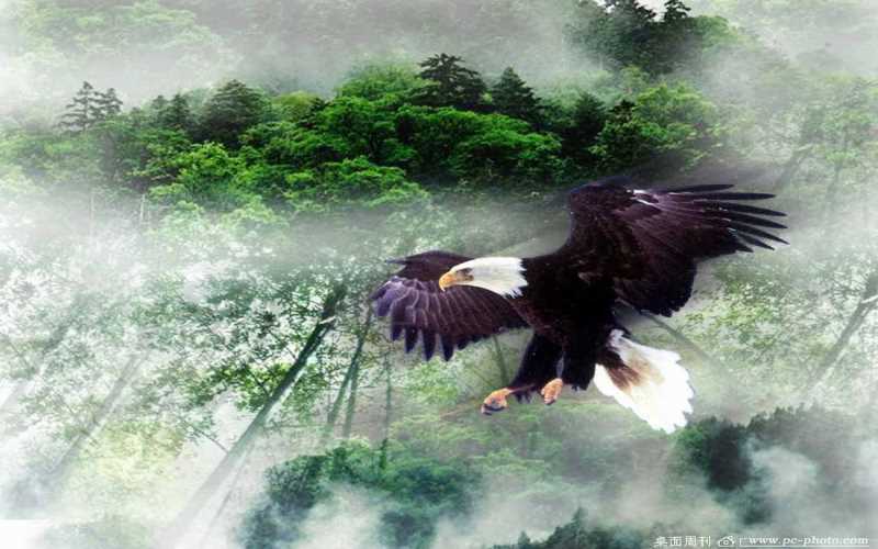 小孩子舌苔厚白腻怎么办，脾胃虚弱4种中药方剂