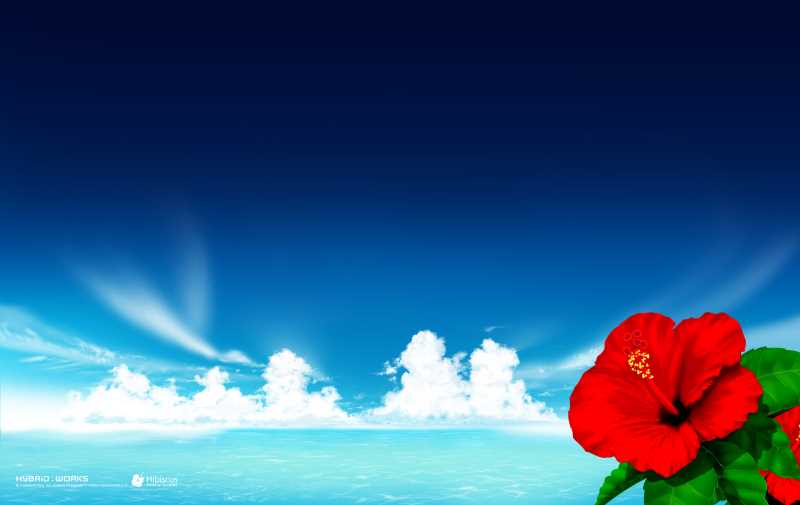 html500的错误，html，div标签，class属性的值