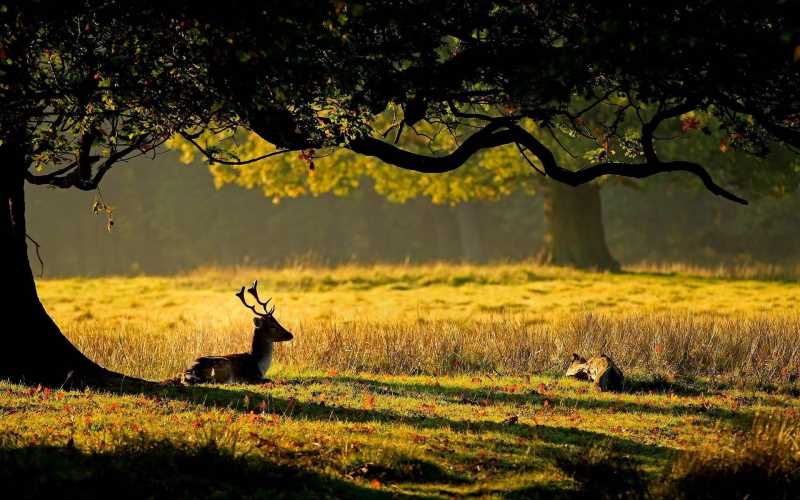 php 移动文件函数
php 移动文件夹函数