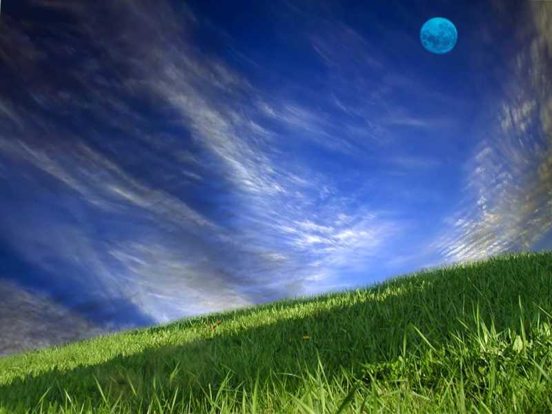 python聊天代码大全
python中10061错误