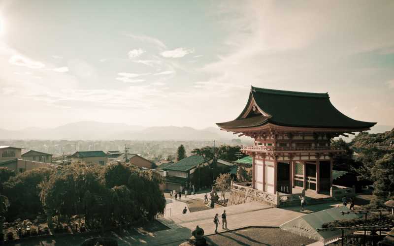 各种水果蔬菜的营养成分表，补肾阴益胃的中药方子