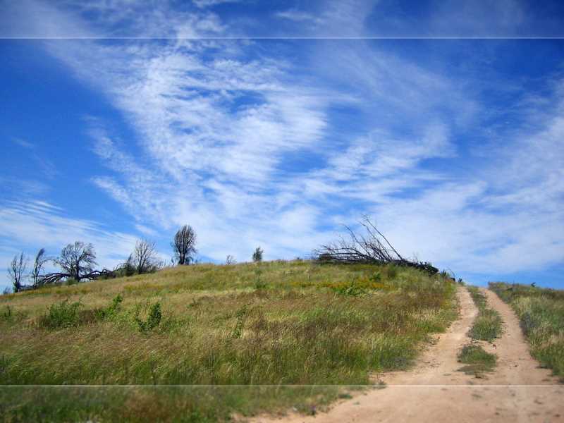 水果汁如何排毒的方法图片,肾虚引起胃肠炎怎么办啊 水果汁如何排毒的方法图片,肾虚引起胃肠炎怎么办啊