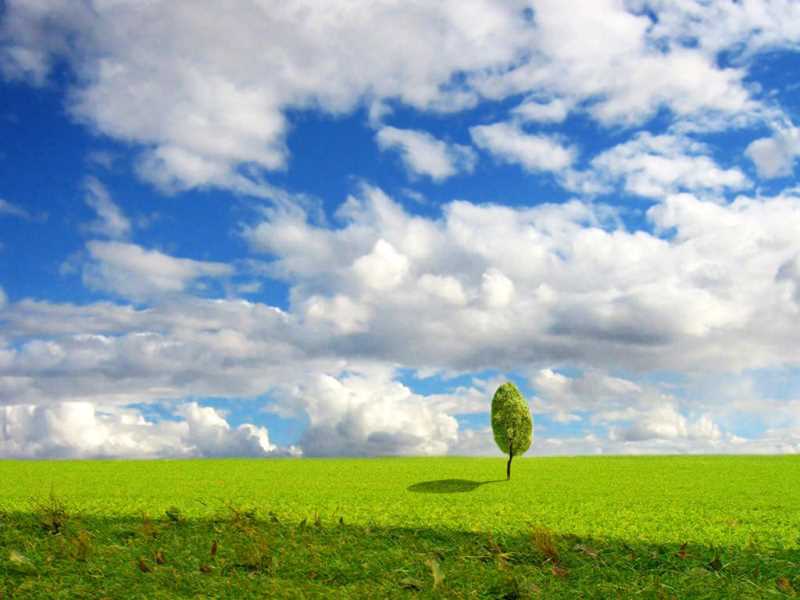 html css js表单验证
怎么让html检测错误