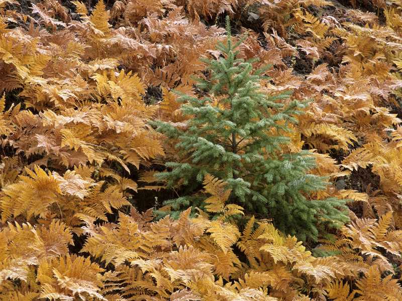 python保存错误信息
python中捕获错误信息