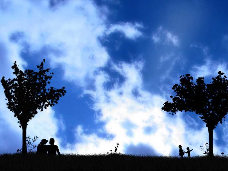 php总共有多少个函数
