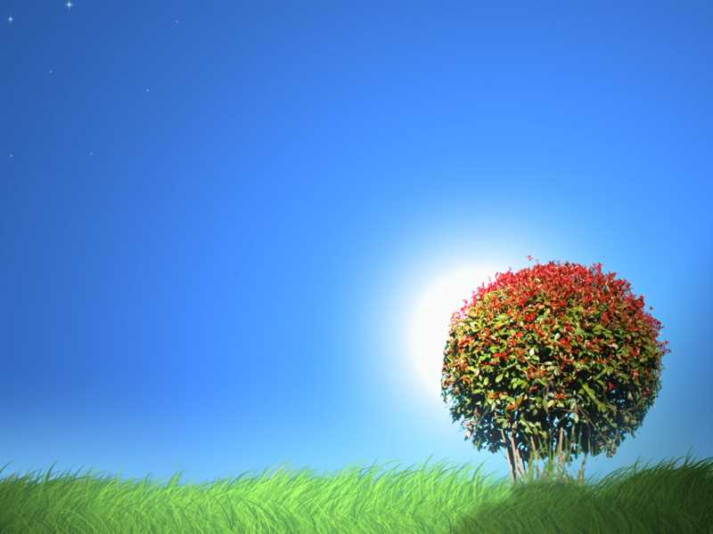 查询python自带的库
